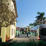 Green Palanga